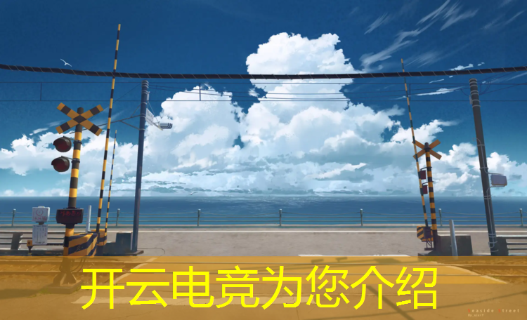 开云电竞为您介绍：专业电竞都包括什么意思
