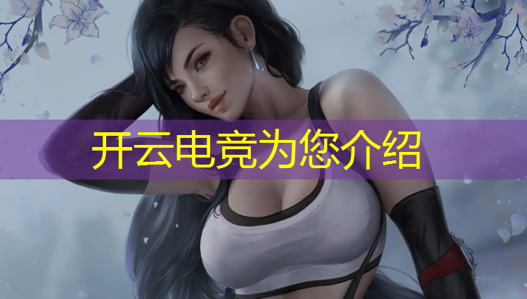 开云电竞为您介绍：电竞赛事运营PPT制作